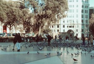 foto_plaza-catalunya